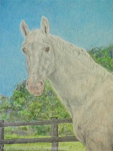 馬の肖像 描き始めと、 イタリアは夏時間に: 色鉛筆+水彩画分室