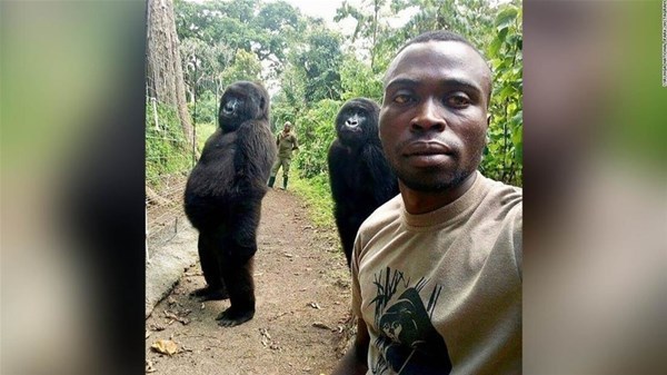 5-gorillas-selfie-virunga-national-park-super-169_GF.jpg
